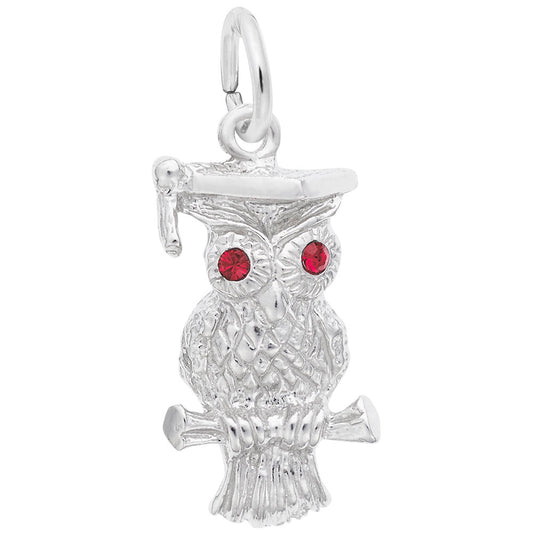 Graduation Owl Charm - Celebrate Your Achievement in Style 2596