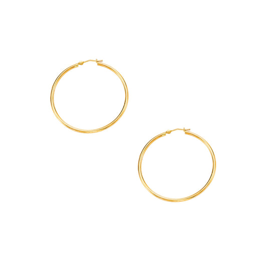Royal Chain 10K Gold 2x40mm Hoop Earring 262LT