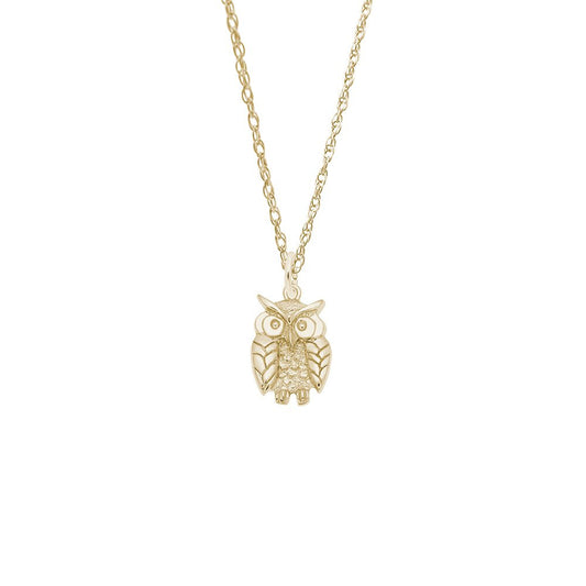 Wise Owl Necklace Set