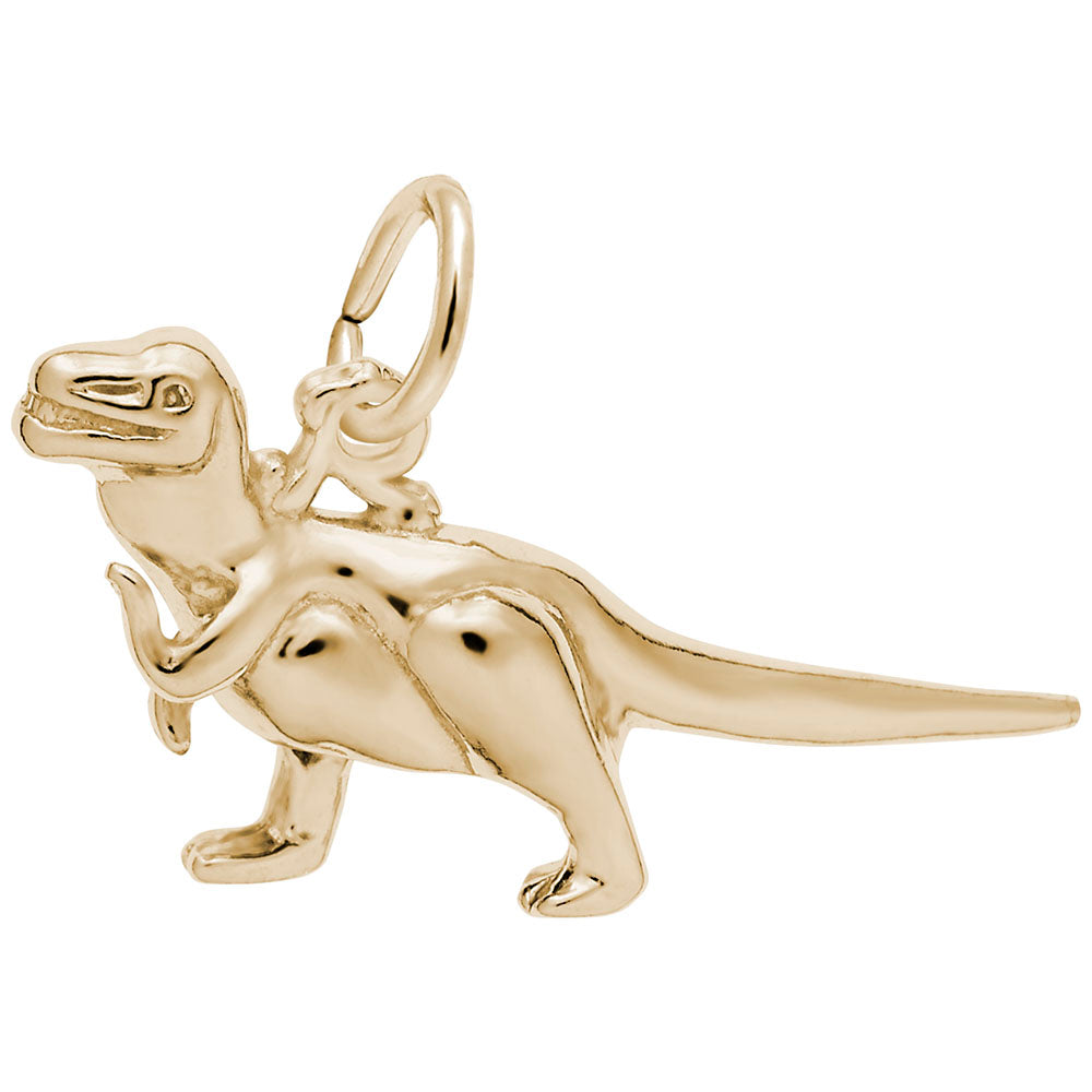 Sterling Silver Tyrannosaurus Rex Charm for Dinosaur Lovers 2940
