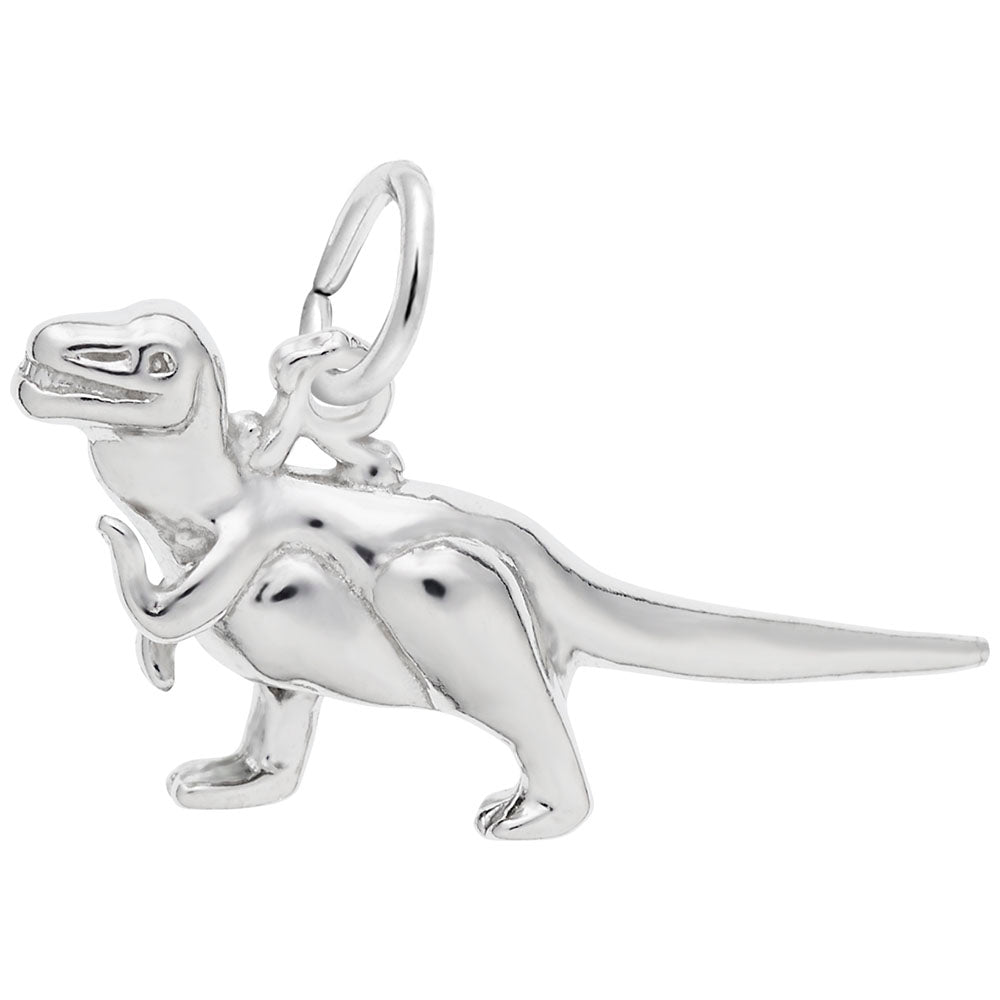 Sterling Silver Tyrannosaurus Rex Charm for Dinosaur Lovers 2940