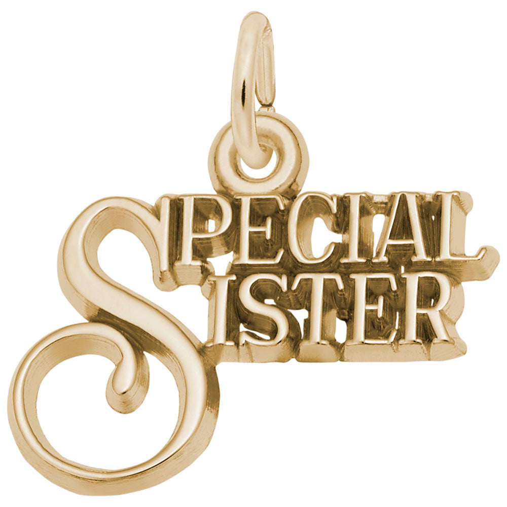 Special Sister Charm - Heartfelt Gift for Baby Sister Love 2957