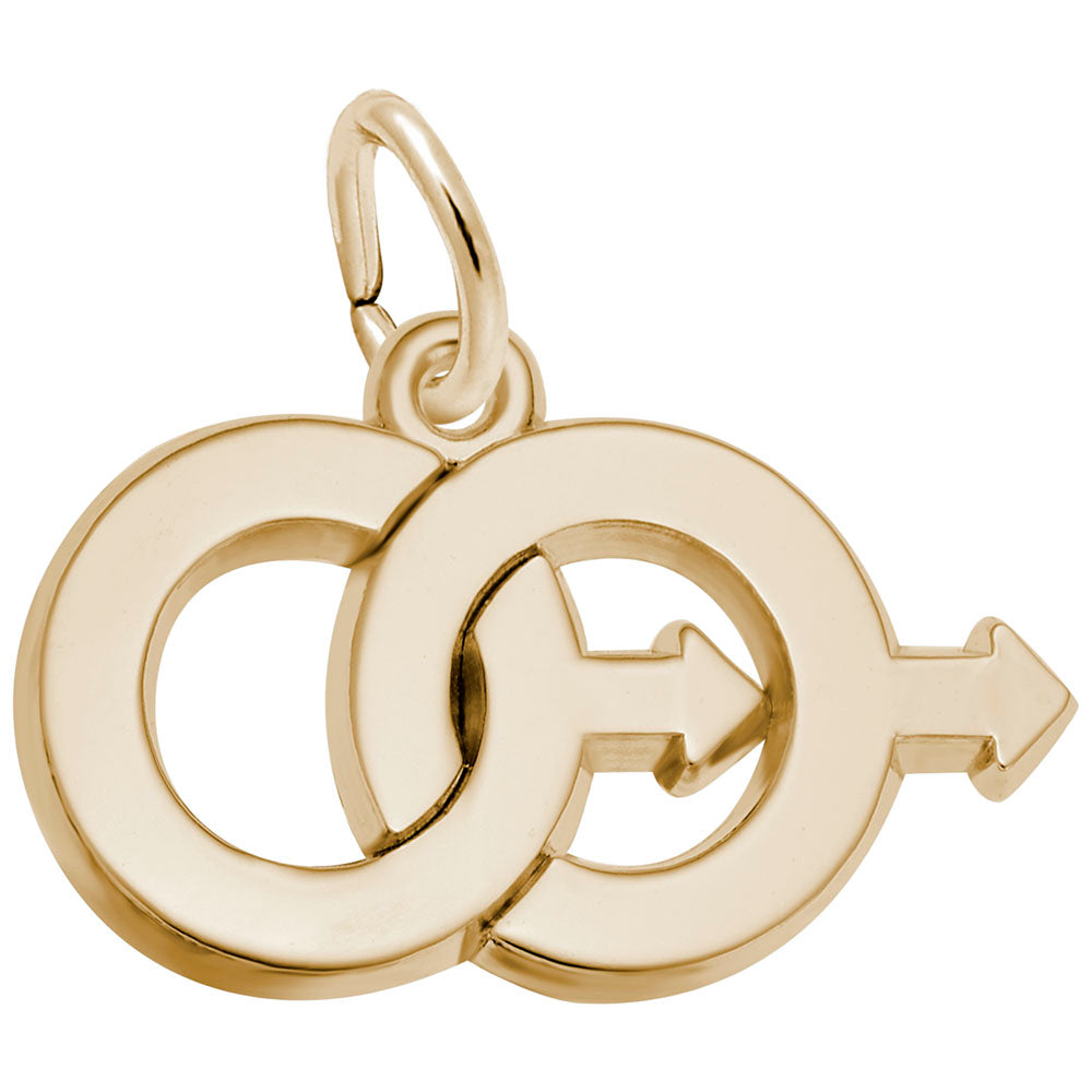 Male Twins Charm - Unique Family Friendship Jewelry Gift 3052