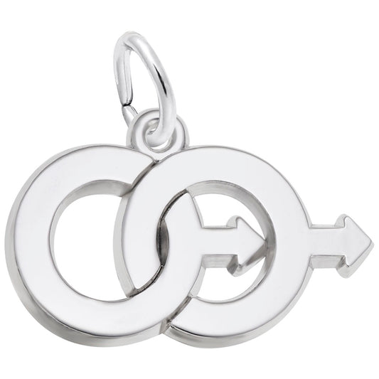 Male Twins Charm - Unique Family Friendship Jewelry Gift 3052