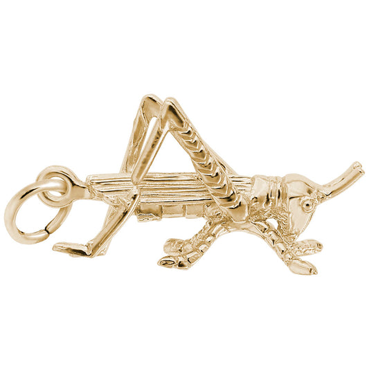 Charming Grasshopper Pendant - Unique Insect Jewelry for Nature Lovers 3202