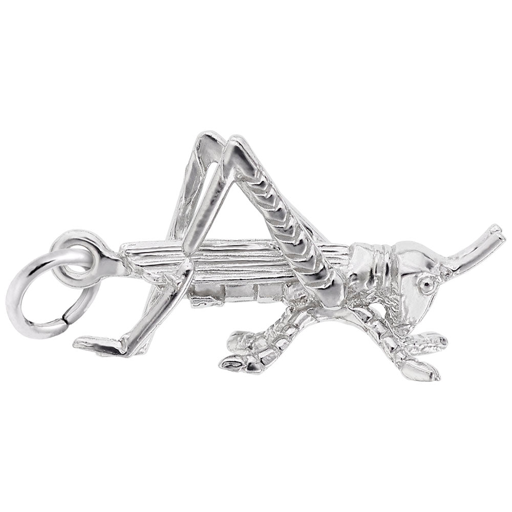 Charming Grasshopper Pendant - Unique Insect Jewelry for Nature Lovers 3202