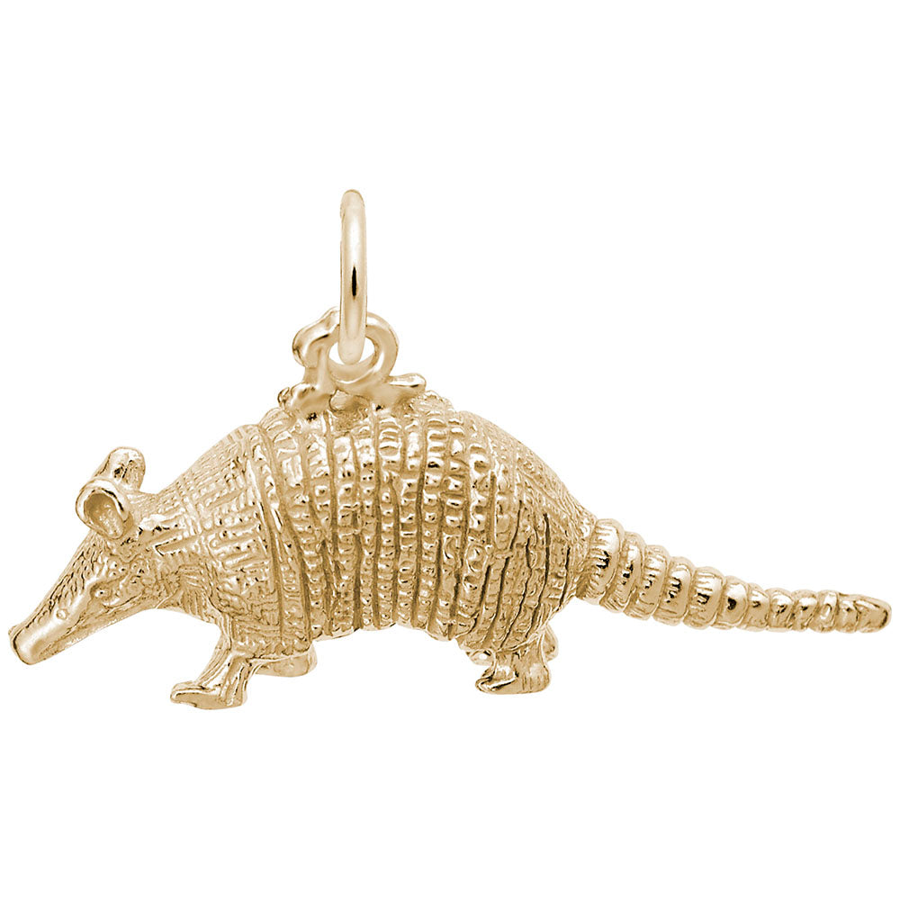 Texas Armadillo Charm - Unique Travel Souvenir for Collectors 3304