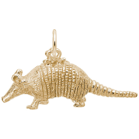 Texas Armadillo Charm - Unique Travel Souvenir for Collectors 3304