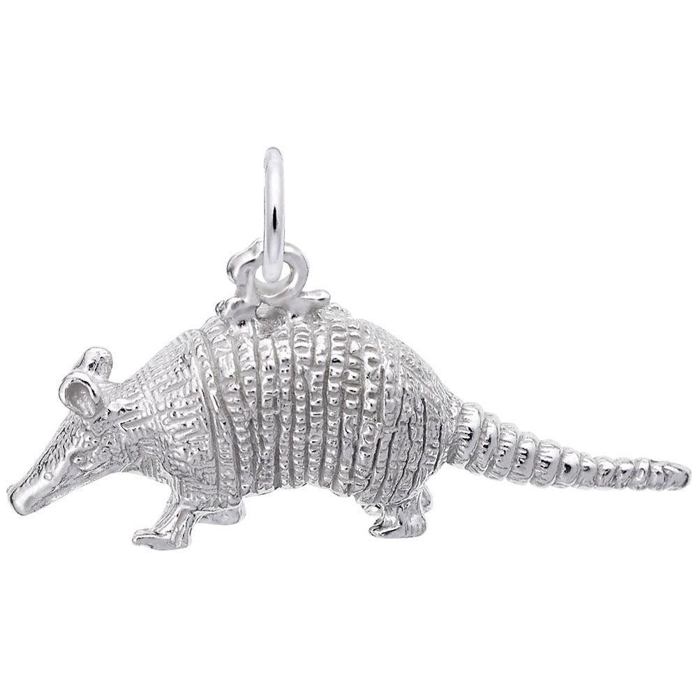 Texas Armadillo Charm - Unique Travel Souvenir for Collectors 3304