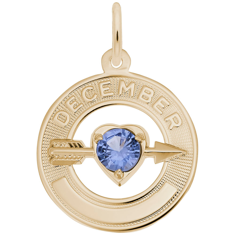 December Birthstone Charm - Love & Family Friendship Jewelry 3342