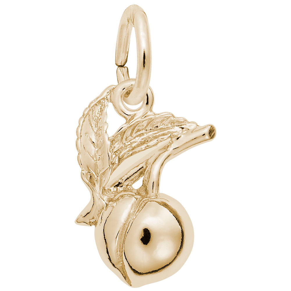 Georgia Peach Charm - Travel Souvenir for Nature Lovers 3408