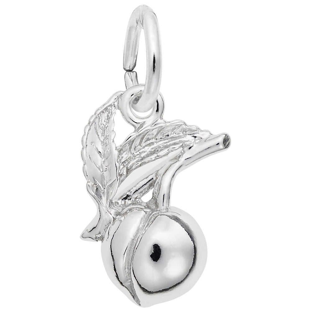Georgia Peach Charm - Travel Souvenir for Nature Lovers 3408