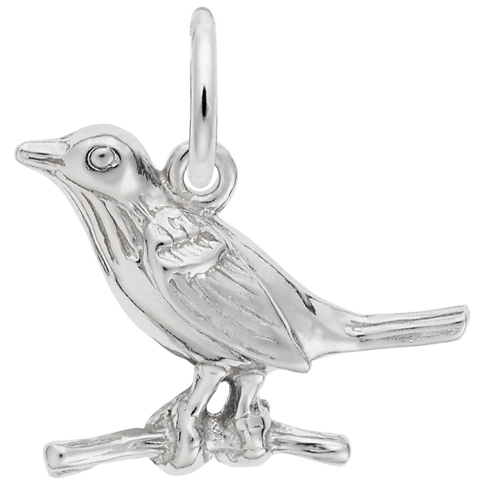 Summer Robin Charm - Handcrafted Nature-Inspired Jewelry Piece 3420