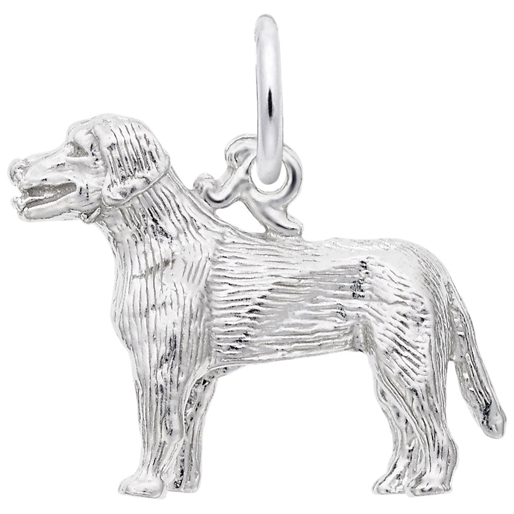 Labrador Retriever Dog Charm - Adorable Pet Jewelry for Dog Lovers 3453