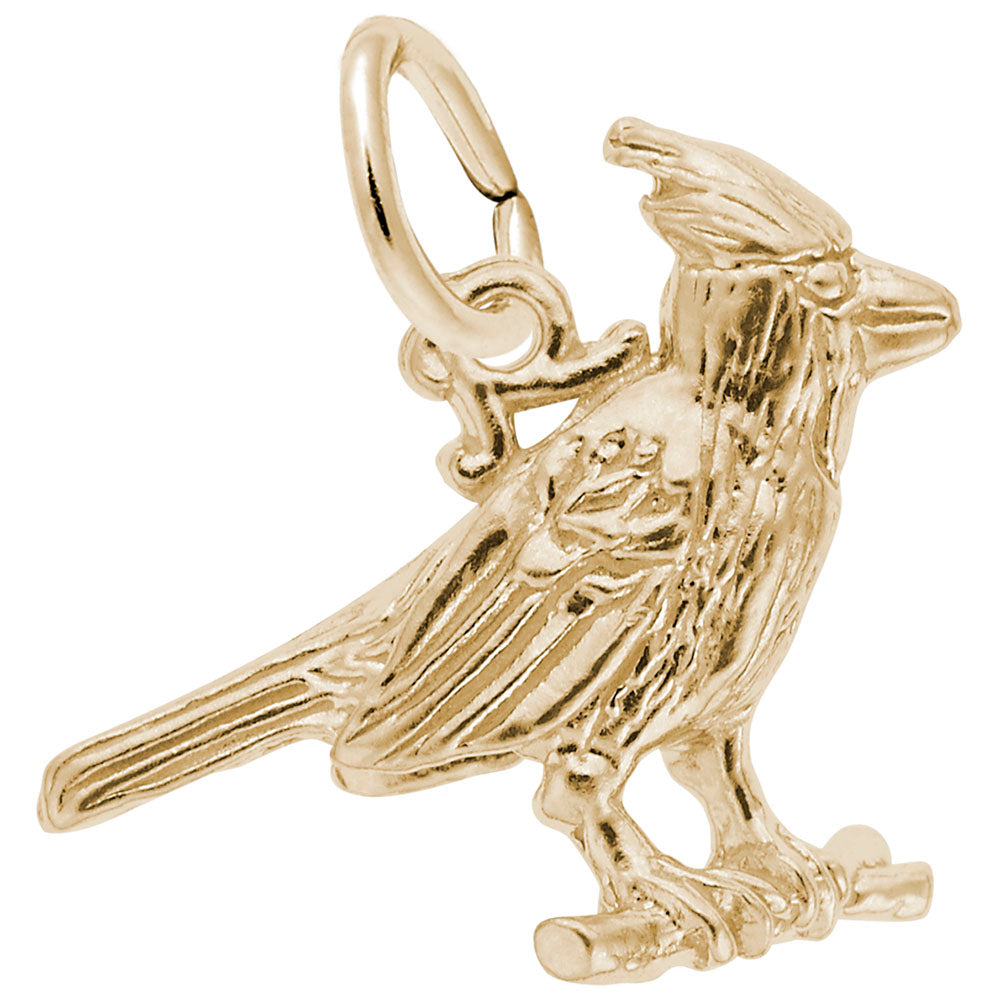 Beautiful Cardinal Charm for Bird Lovers - Perfect Gift Idea 3541