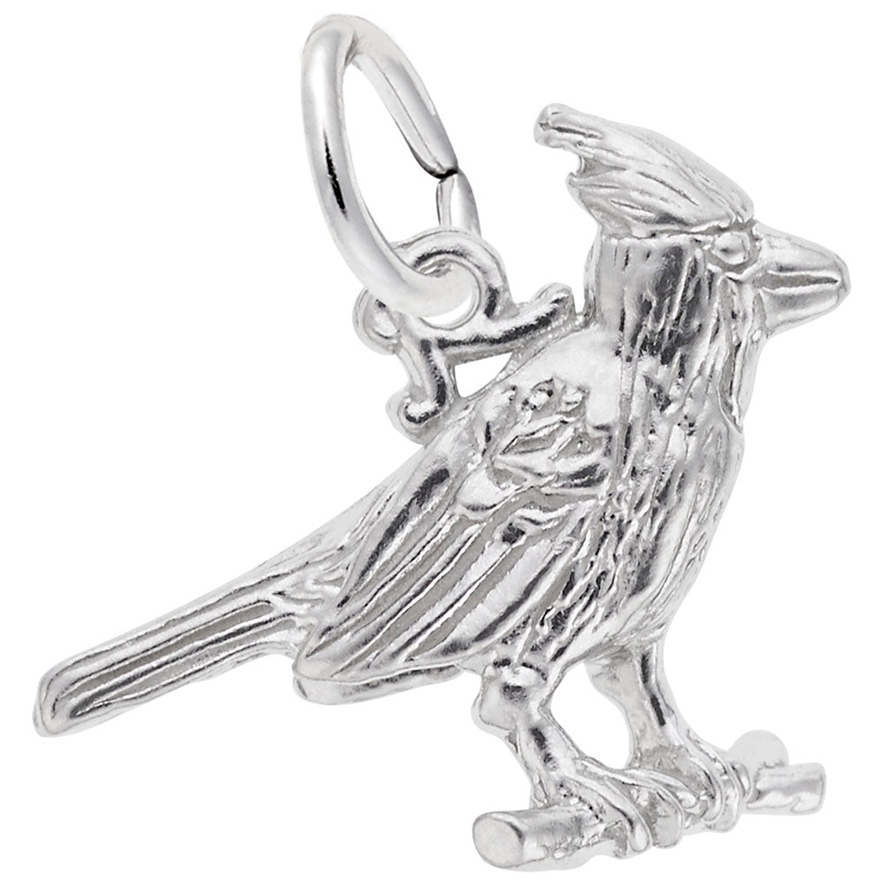 Beautiful Cardinal Charm for Bird Lovers - Perfect Gift Idea 3541