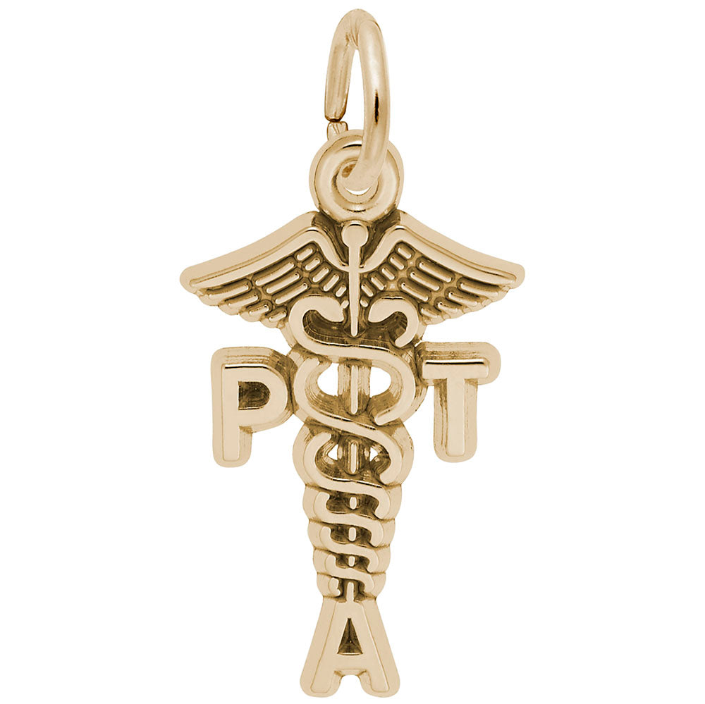 Physical Therapist Assistant Caduceus Charm for Medical Professionals 3566