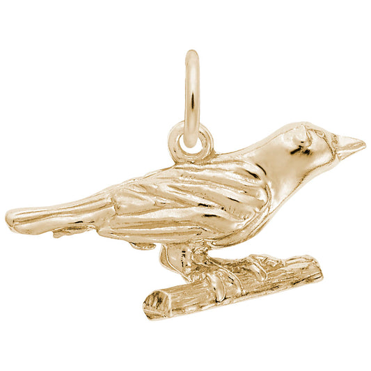 Oriole Charm for Pet Lovers - Elegant Bird Jewelry Accessory 3798