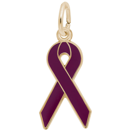 Sympathy Cancer Awareness Ribbon Charm - Love & Support Gift 3801