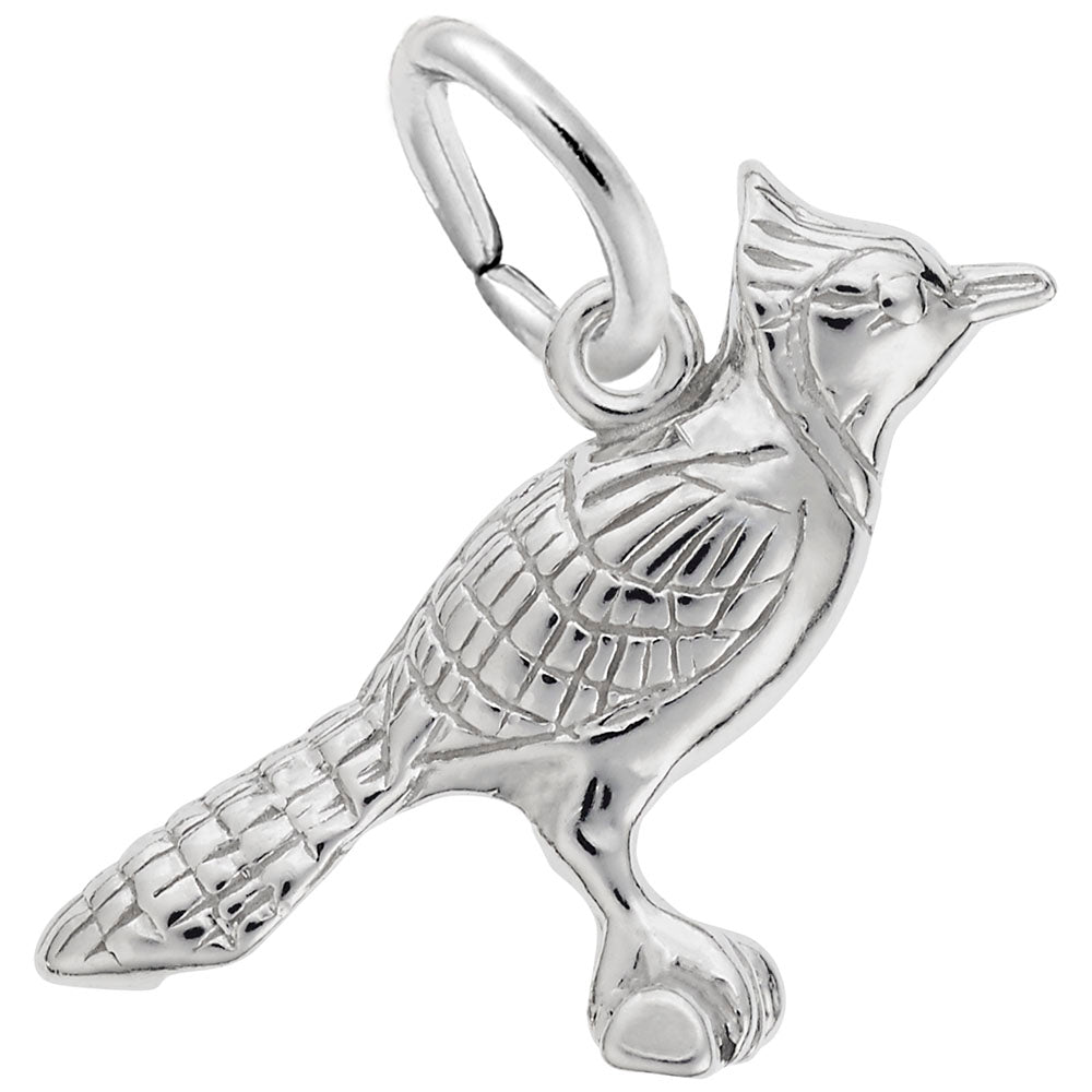 Blue Jay Charm for Pet Lovers - Elegant Bird Jewelry Accessory 3849