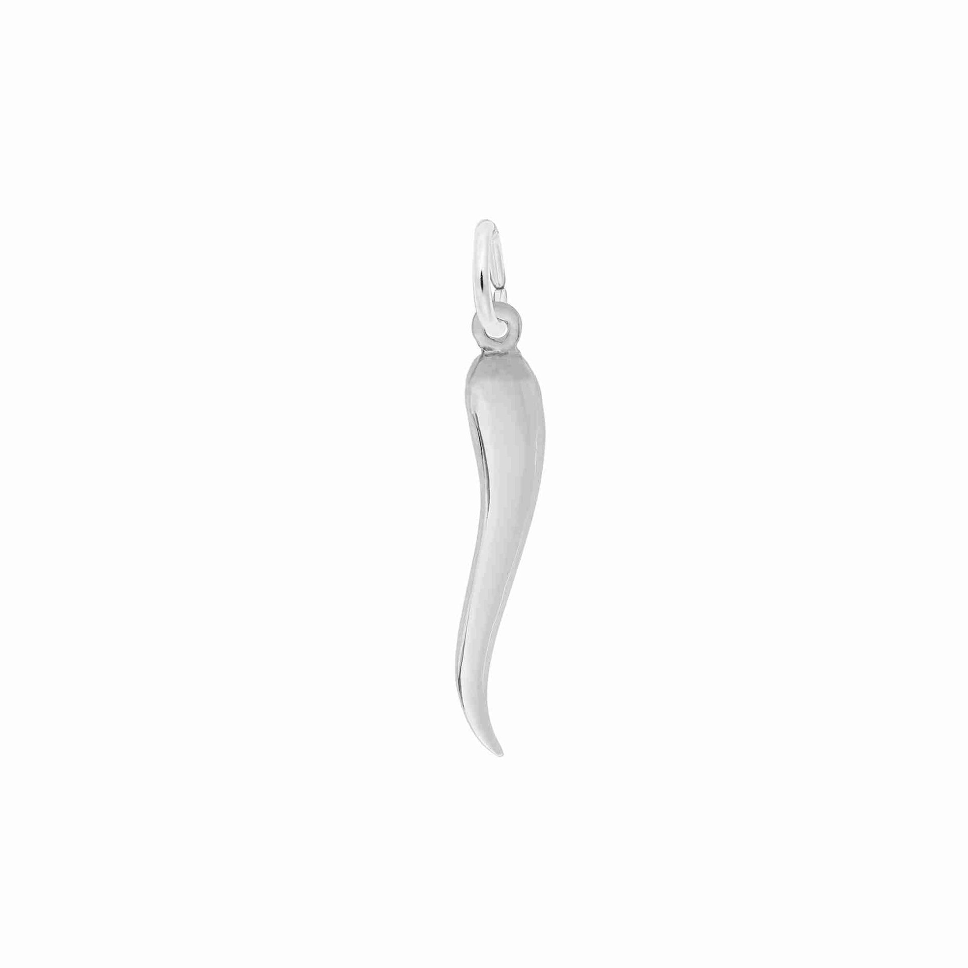 Good Luck Italian Horn Charm for Gamers - Rembrandt Charms 3931
