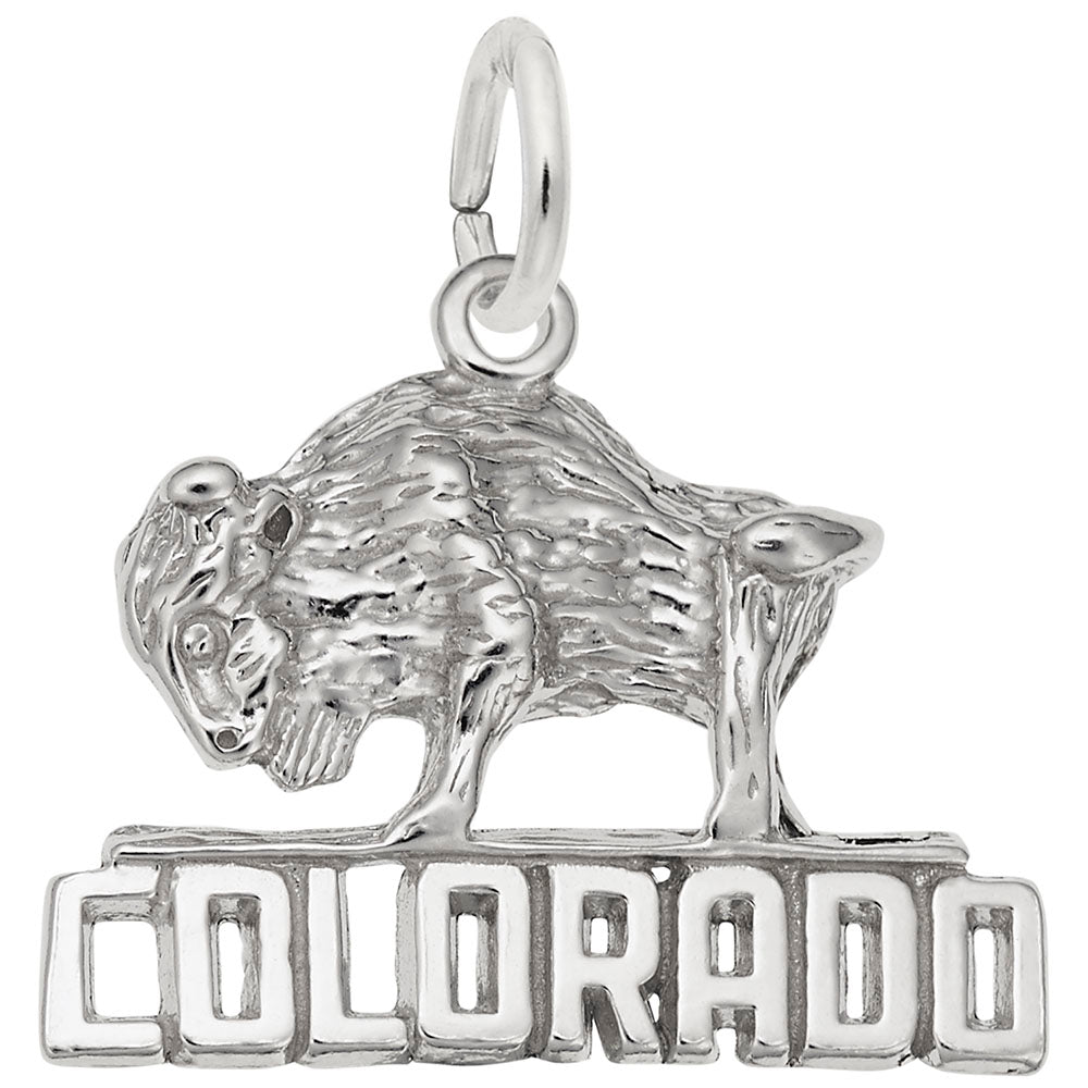 Colorado Bison Charm - Unique Travel Souvenir for Nature Lovers 4088