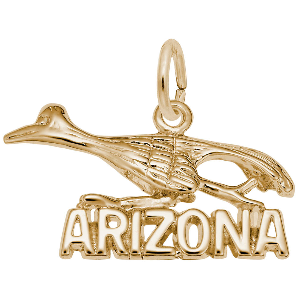 Arizona Road Runner Charm - Unique Travel Souvenir Jewelry 4115