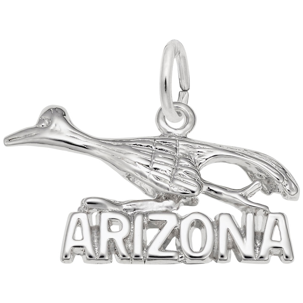 Arizona Road Runner Charm - Unique Travel Souvenir Jewelry 4115