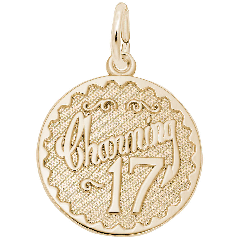 Charming Seventeen Disc Charm - Elegant Personalized Jewelry 4257
