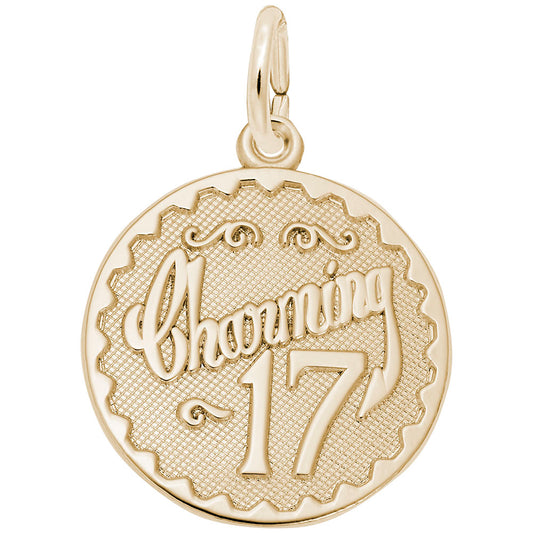 Charming Seventeen Disc Charm - Elegant Personalized Jewelry 4257