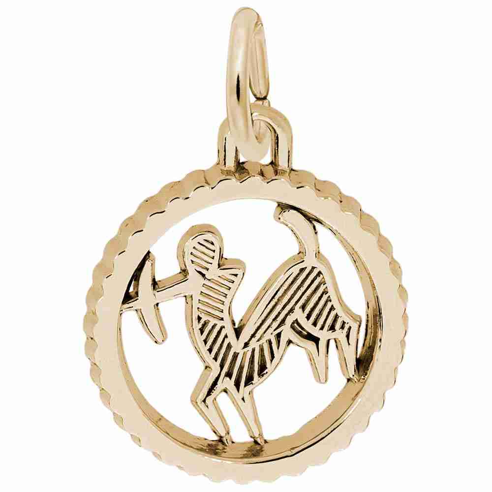 Personalized Sagittarius Birthday Charm - Celebrate Your Zodiac 4551