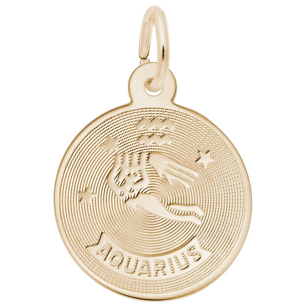 Astrological Aquarius Charm for Birthday Celebrations & Gifts 4581