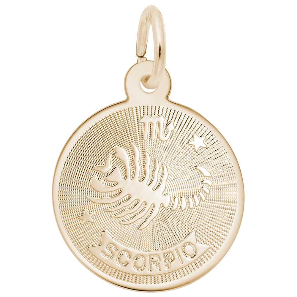 Scorpio Zodiac Charm for Birthdays - Unique Astrological Gift 4590