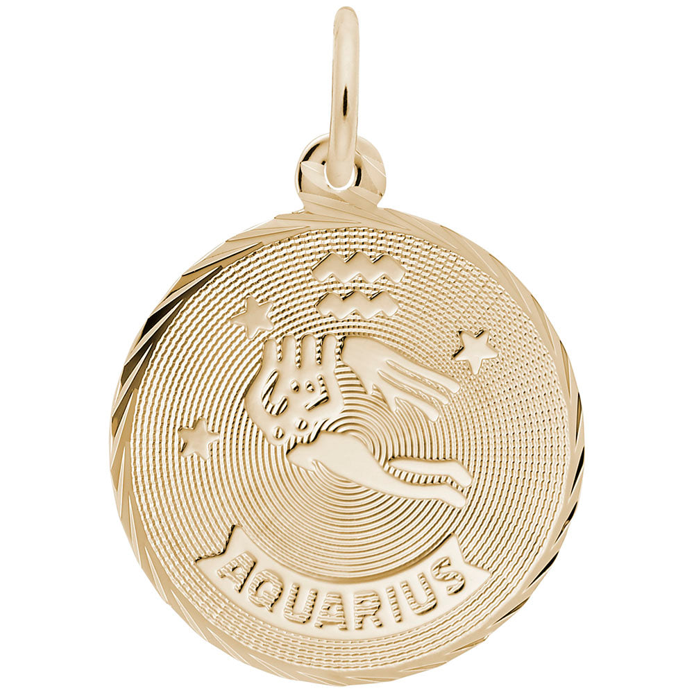 Aquarius Constellation Disc Charm - Zodiac Jewelry for Astrology Lovers 4651