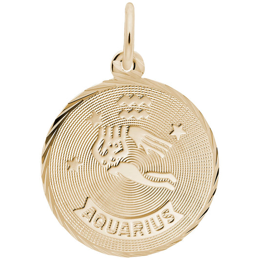 Aquarius Constellation Disc Charm - Zodiac Jewelry for Astrology Lovers 4651