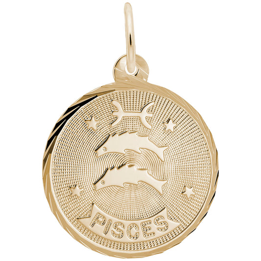 Pisces Constellation Disc Charm - Zodiac Jewelry for Astrology Lovers 4652
