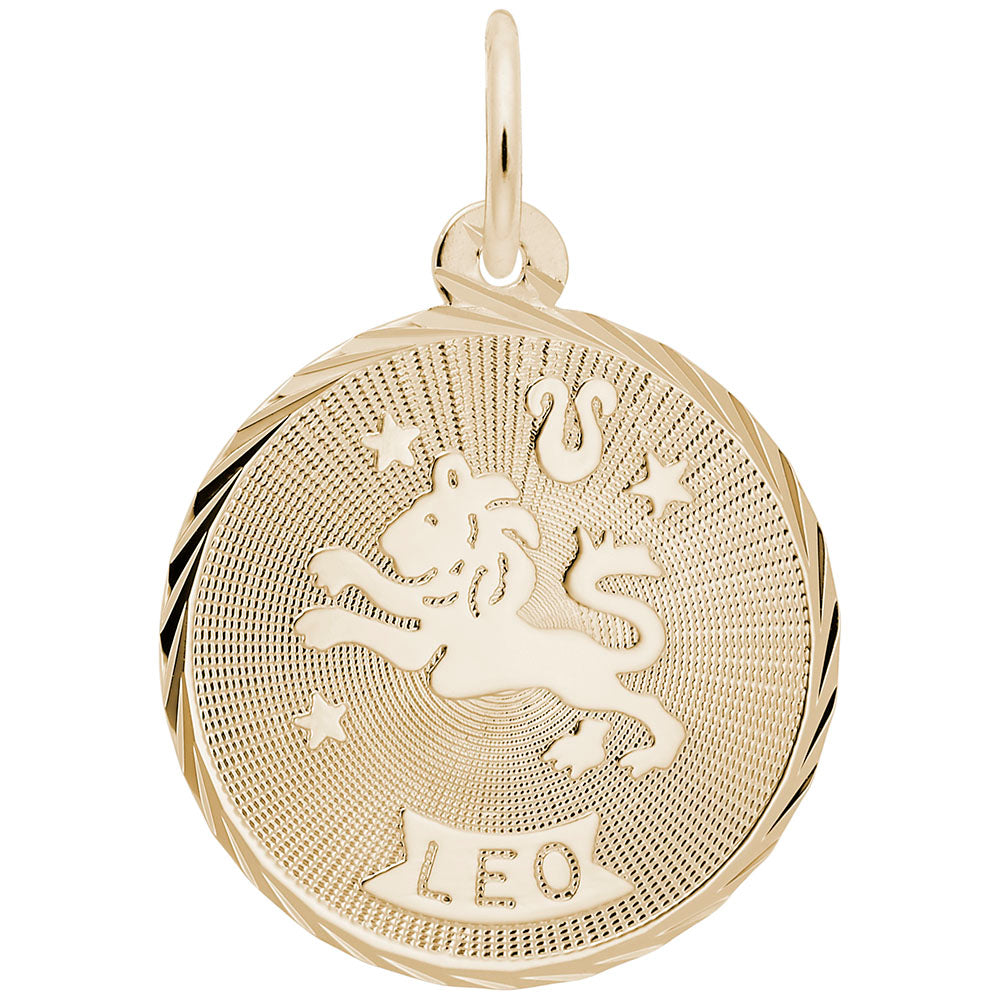 Leo Constellation Disc Charm - Zodiac Jewelry for Astrology Lovers 4657