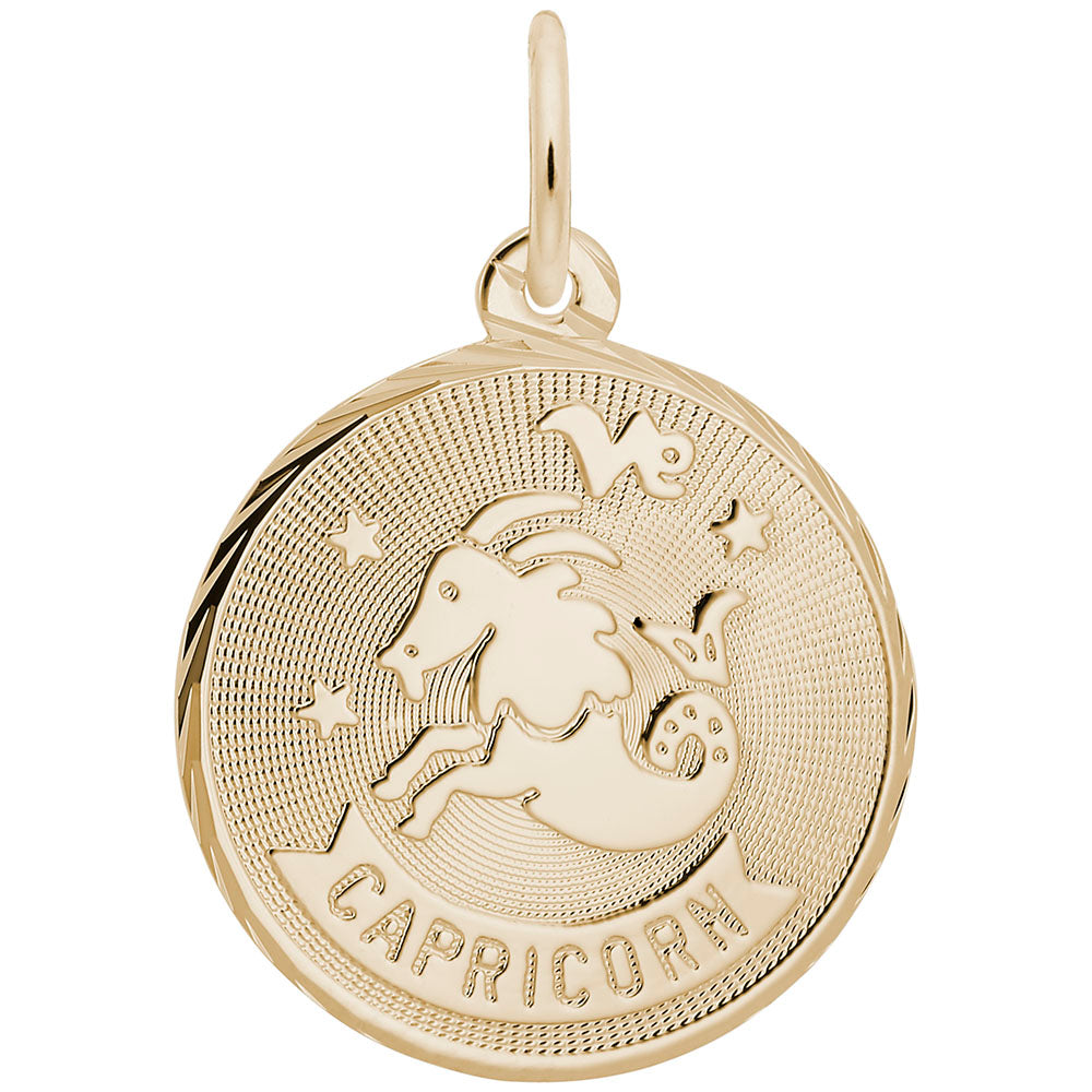 Capricorn Constellation Disc Charm - Zodiac Jewelry for Astrology Lovers 4662