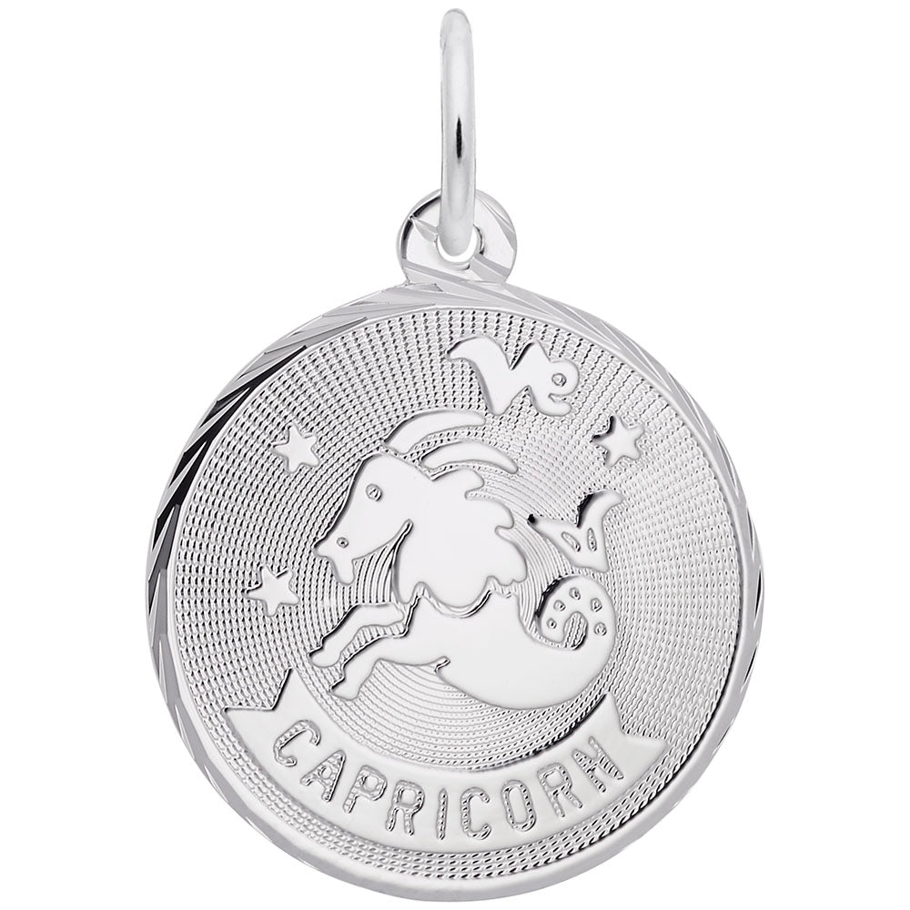 Capricorn Constellation Disc Charm - Zodiac Jewelry for Astrology Lovers 4662