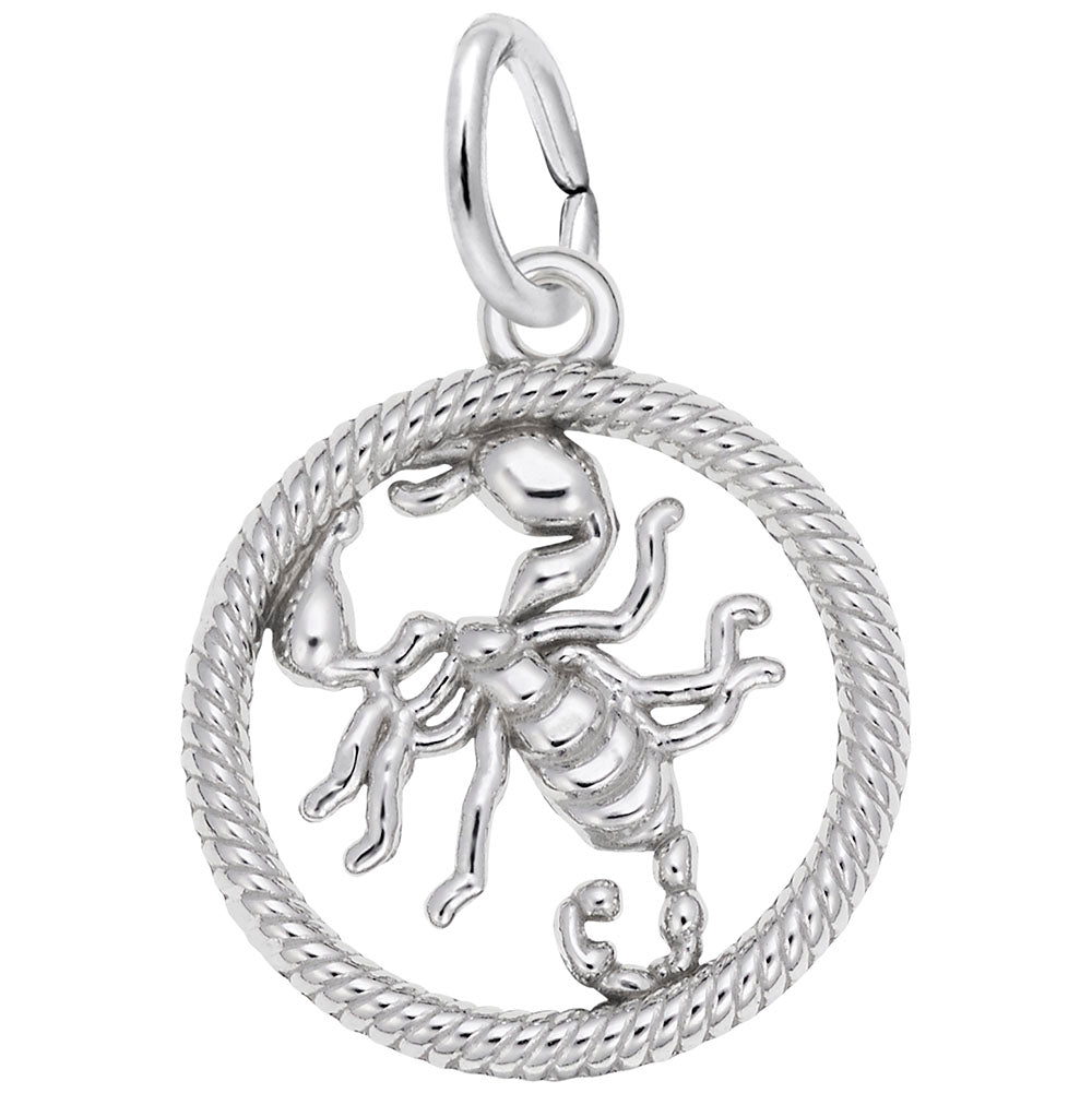 Scorpio Scorpion Charm - Zodiac Symbol Jewelry for Astrology Lovers 4780