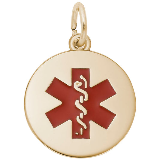 Medical Painted Symbol Charm for Bracelets - Rembrandt Charms 5098-001