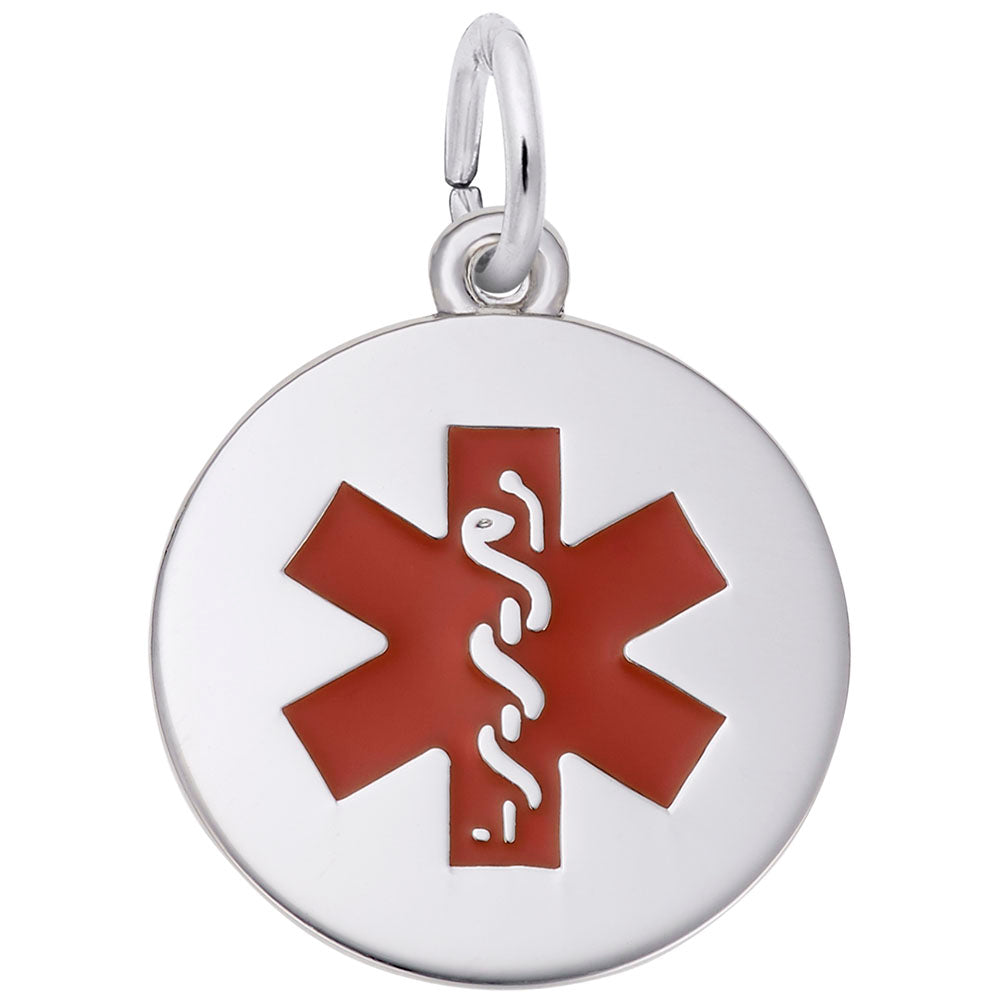 Medical Painted Symbol Charm for Bracelets - Rembrandt Charms 5098-001