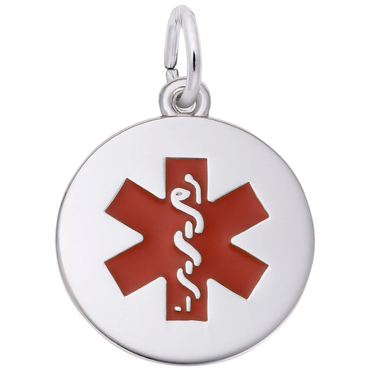 Medical Painted Symbol Charm for Bracelets - Rembrandt Charms 5098-001