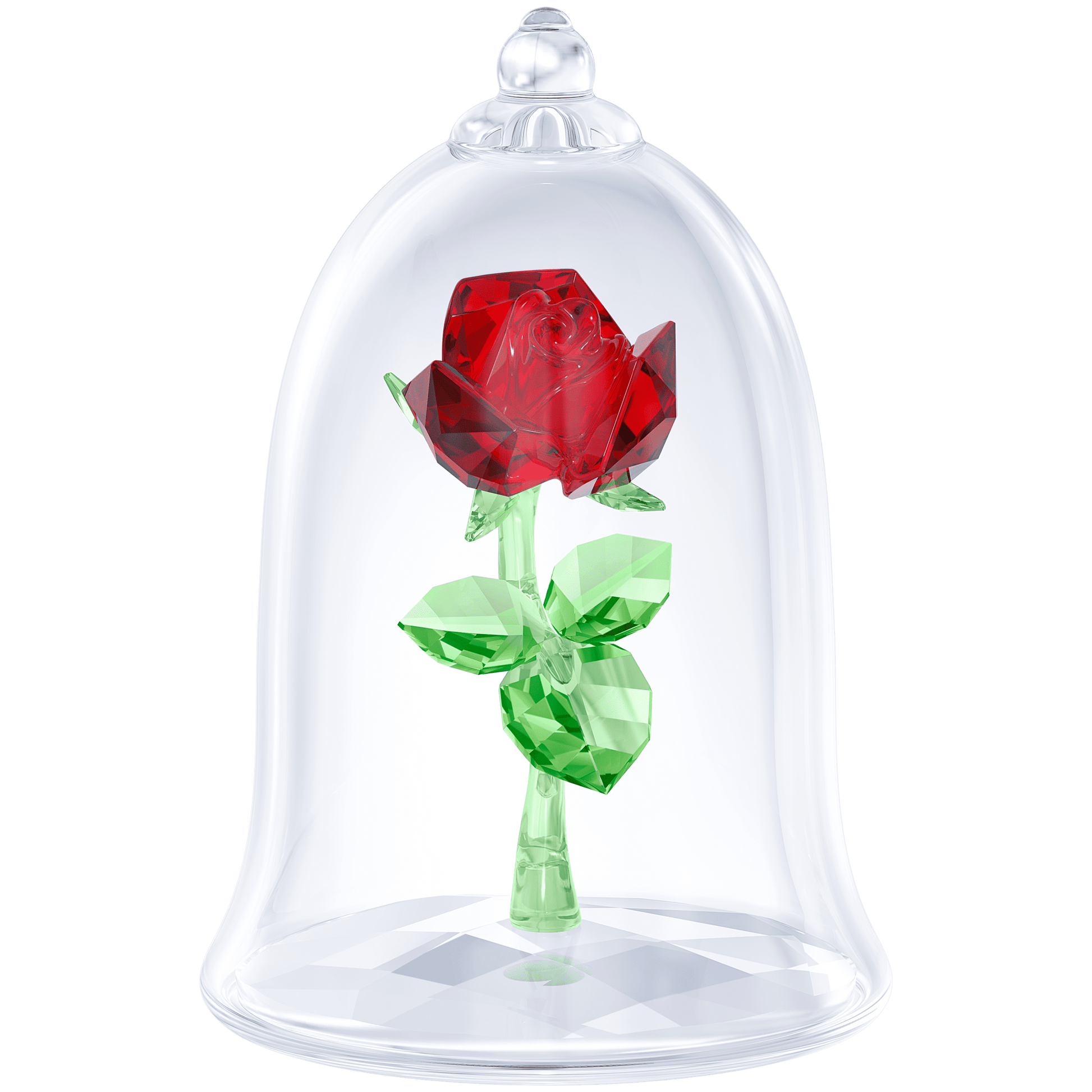 Enchanted Rose
