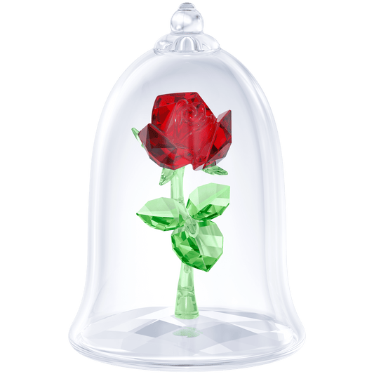 Enchanted Rose