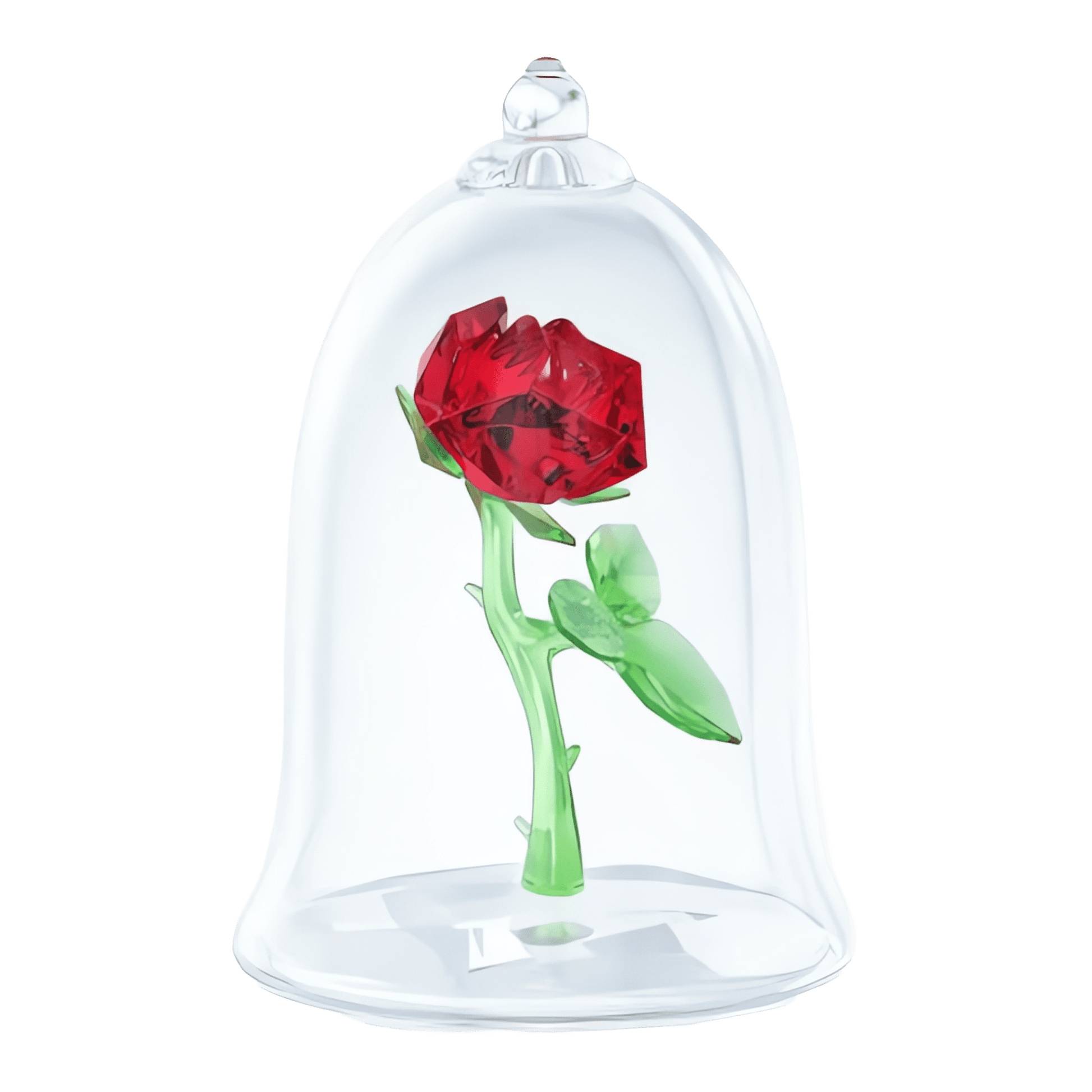 Enchanted Rose