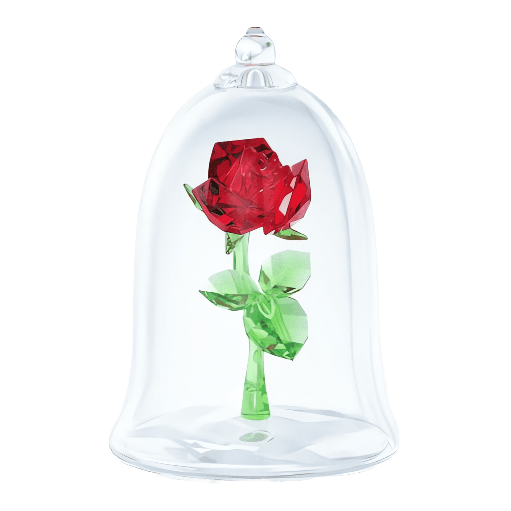 Enchanted Rose