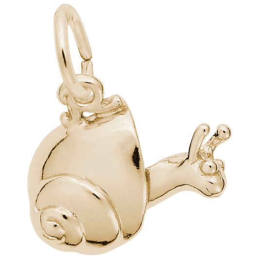 Charming Snail Garden Charm for Home Decor & Nature Lovers 5464