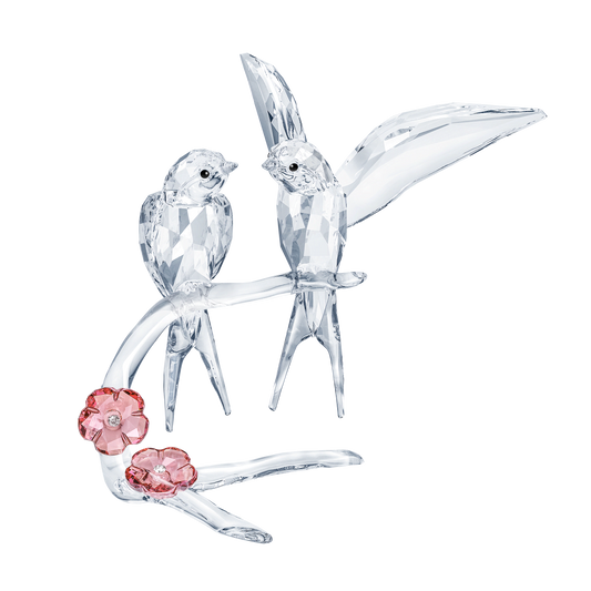 Swallows