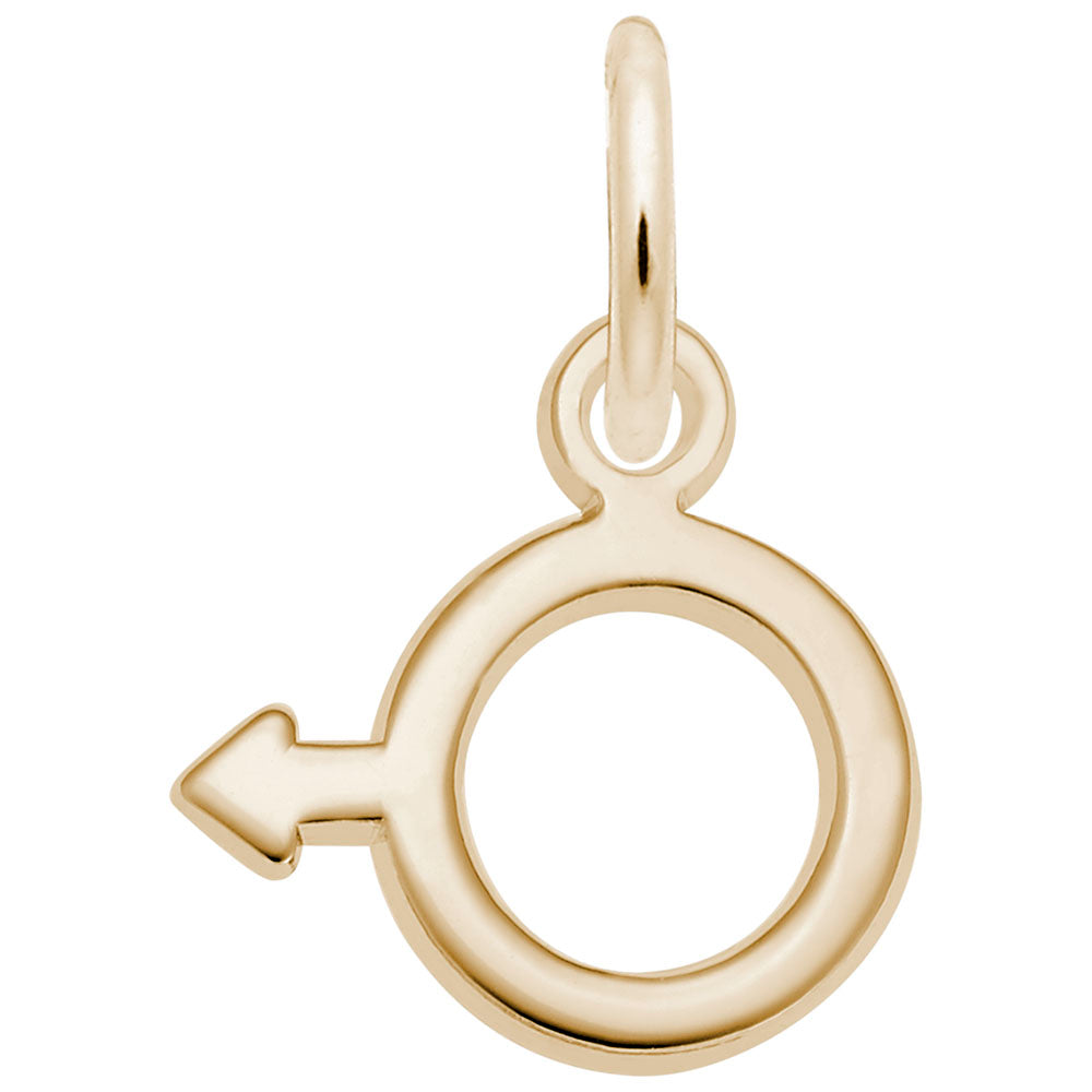 Male Symbol Charm for Baby - Perfect Gift for Family & Friends 5487